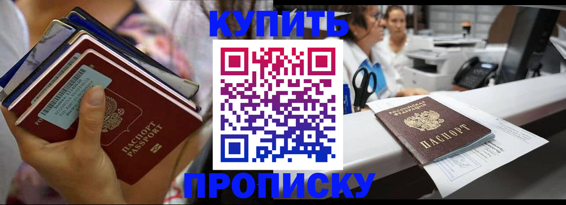 прописка для школы в Димитровграде